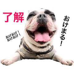 [LINEスタンプ] 愛しのフレブル2