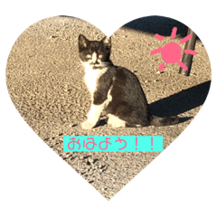 [LINEスタンプ] としまるニャン理官