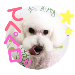 [LINEスタンプ] こてつ＆バニーちゃんの日常