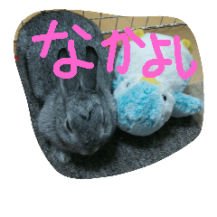 [LINEスタンプ] 可愛すぎるうさぎさん(パート4)