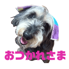 [LINEスタンプ] はんぞうスタンプ