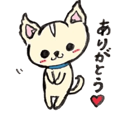 [LINEスタンプ] チワワのモコくん