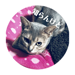 [LINEスタンプ] 寝仔スタ