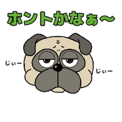 [LINEスタンプ] パグ太の日常使えるスタンプ