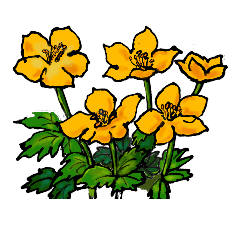 [LINEスタンプ] 高山植物の花で癒してね 3 （絵のみです）