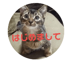 [LINEスタンプ] ワッツマンのスタンプ②
