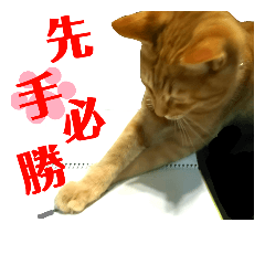 [LINEスタンプ] 心の友ネコ「にゃかの先生」withふれんず