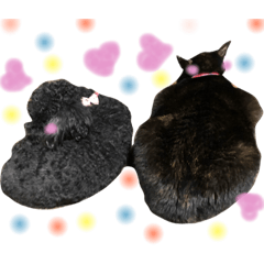 [LINEスタンプ] 黒犬＆黒猫