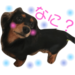 [LINEスタンプ] カニヘンダックスのポポ