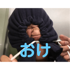 [LINEスタンプ] カナリアチャンネル  スタンプ