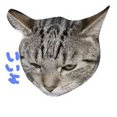 [LINEスタンプ] 出さない出さない出さない出さない出さない