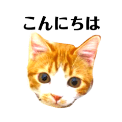 [LINEスタンプ] スットボ とろさん