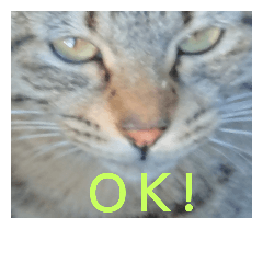 [LINEスタンプ] 猫が色々しゃべります4