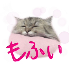 [LINEスタンプ] 厨2くさい猫