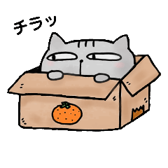 [LINEスタンプ] アメショのユウたん【日常会話編】