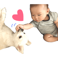 [LINEスタンプ] あやぱる