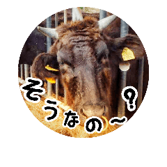 [LINEスタンプ] うみやま～その③八重山