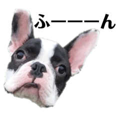 [LINEスタンプ] よく使うフレブル福ちゃん