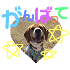 [LINEスタンプ] まほろのスタンプ