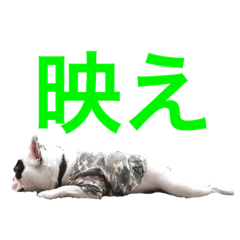 [LINEスタンプ] 愛しのフレブル 3