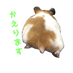 [LINEスタンプ] うちのハム子さん 2
