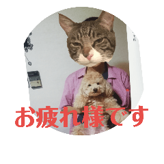 [LINEスタンプ] 犬好きの虎氏