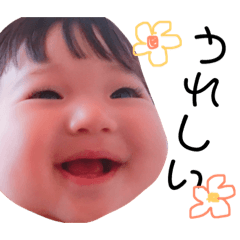 [LINEスタンプ] 柏木さっちゃん