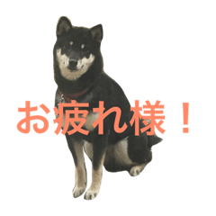 [LINEスタンプ] ゆずちゃんはるちゃんスタンプ
