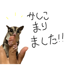 [LINEスタンプ] ぽんすの仕事用スタンプ