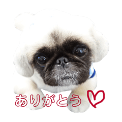 [LINEスタンプ] ぼん蔵くん2