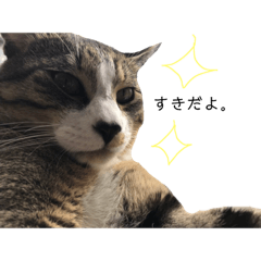 [LINEスタンプ] 粋の日常すたんぷ