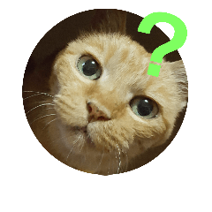 [LINEスタンプ] みみみまるちゃん
