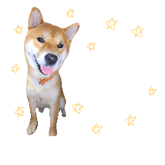 [LINEスタンプ] Aoyama Kotetsu