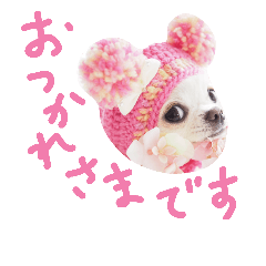 [LINEスタンプ] 元気なゆきちゃん