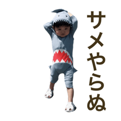 [LINEスタンプ] アオしゃんのスタンプ2個目ですよ。