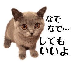 [LINEスタンプ] まんじろうツンデレ。