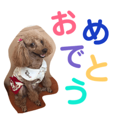 [LINEスタンプ] もこのスタンプ01