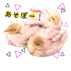 [LINEスタンプ] うずらさん。3