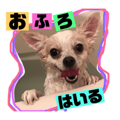 [LINEスタンプ] リズの日常スタンプ