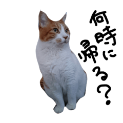 [LINEスタンプ] ちょびとまる