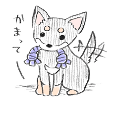 [LINEスタンプ] チワワのけんちゃん