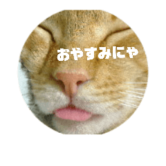 [LINEスタンプ] 猫が色々しゃべります5