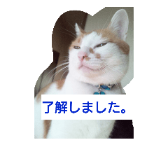 [LINEスタンプ] 目を細めて一言。