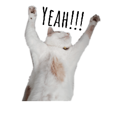 [LINEスタンプ] ツンデレ三毛猫、時々魔女三毛猫。