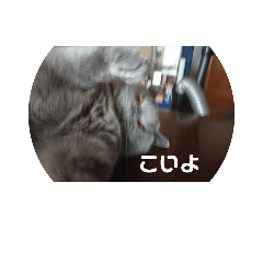 [LINEスタンプ] スチュワートのつぶやき