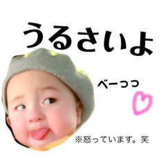 [LINEスタンプ] 家族返信用めんこちゃん