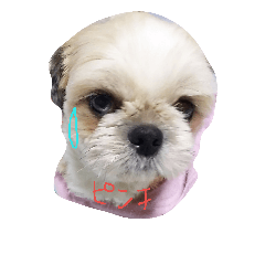 [LINEスタンプ] わが家の可愛い日常