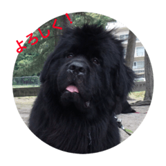 [LINEスタンプ] うちの動物園2