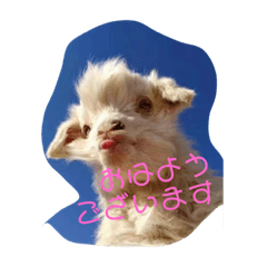 [LINEスタンプ] ヤギちゃん
