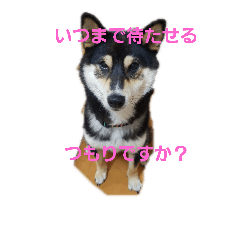 [LINEスタンプ] ムウさんの日常スタンプ